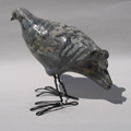 volatile raku