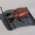 scarab�e Raku